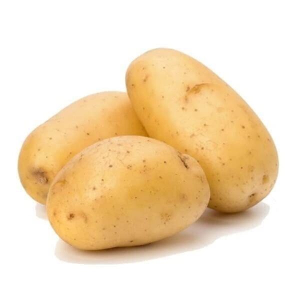 POTATO P/KG