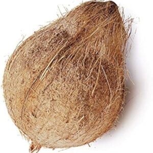 WHOLE COCONUT