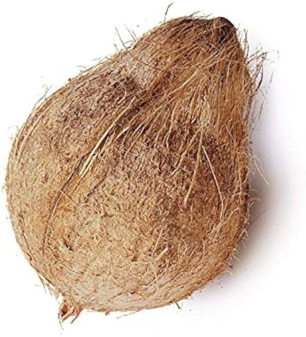 WHOLE COCONUT