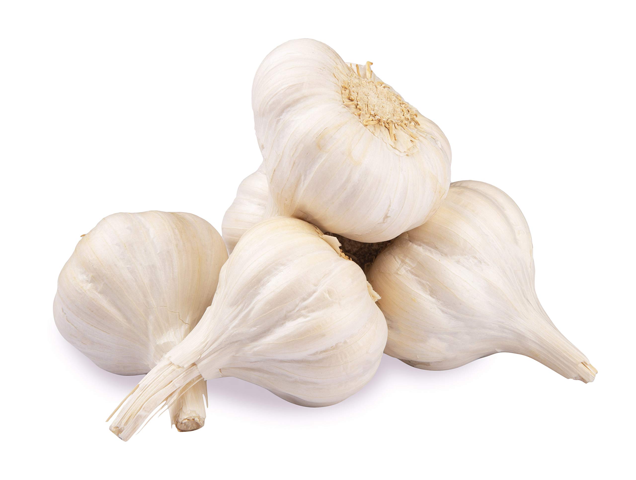GARLIC FRESH 500G