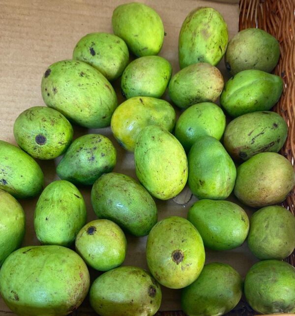 GREEN MANGO