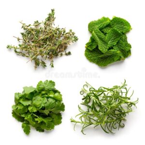 CORIANDER/MINT/PARSELIE (1)