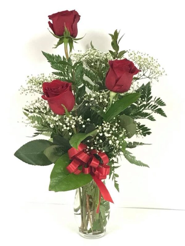 3FRESH ROSE